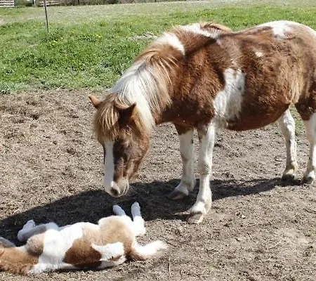 شقة Rurales Rincon De Aiara