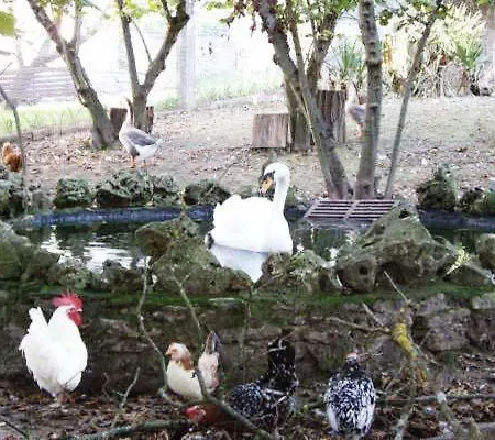 Rurales Rincon De Aiara Apartment