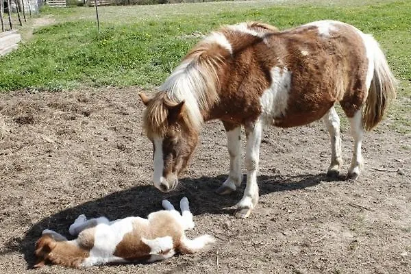 Apartment Rurales Rincon De Aiara
